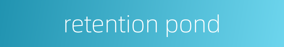 retention pond的同义词