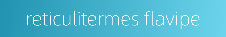 reticulitermes flavipe的同义词