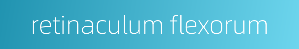 retinaculum flexorum的同义词