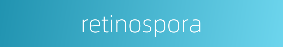 retinospora的同义词
