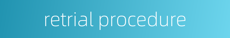 retrial procedure的同义词