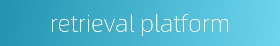 retrieval platform的同义词