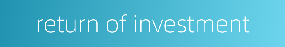 return of investment的同义词