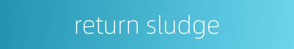 return sludge的同义词