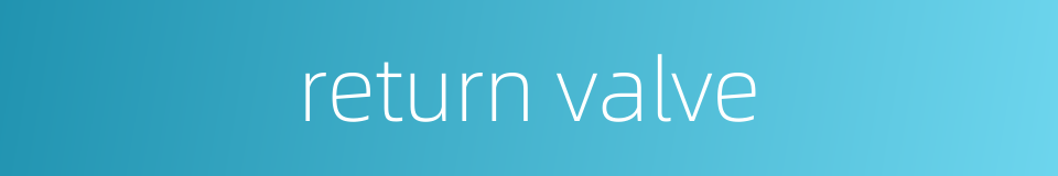 return valve的同义词