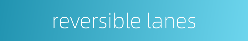 reversible lanes的同义词
