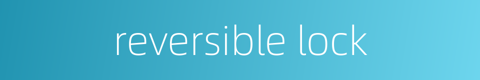 reversible lock的同义词
