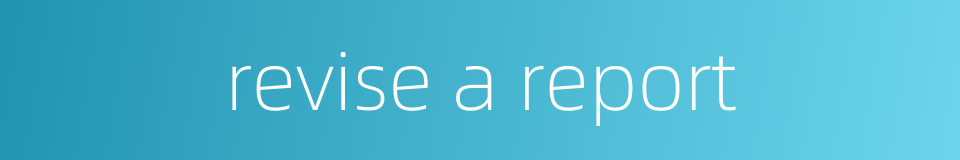 revise a report的同义词