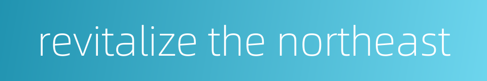 revitalize the northeast的同义词