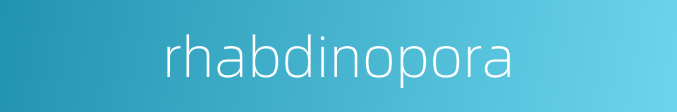 rhabdinopora的同义词