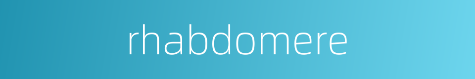 rhabdomere的同义词