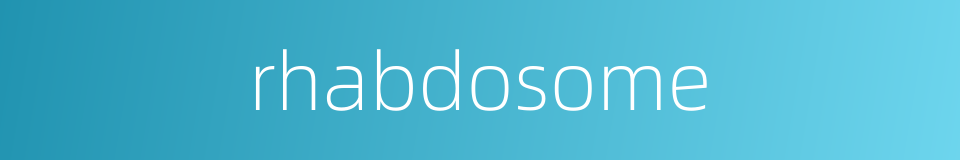 rhabdosome的同义词