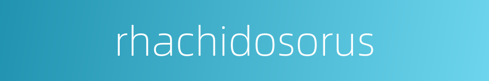 rhachidosorus的同义词