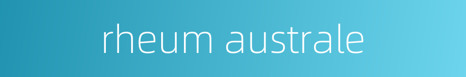 rheum australe的同义词
