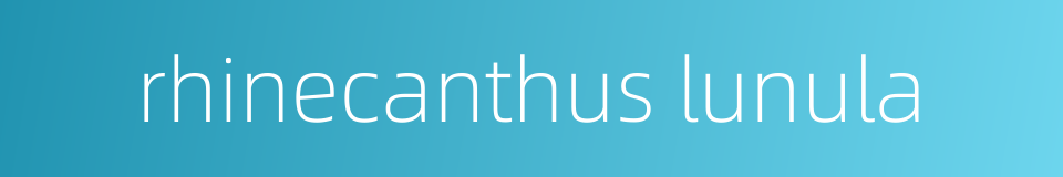 rhinecanthus lunula的同义词