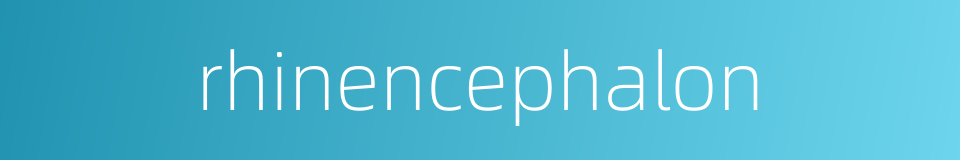 rhinencephalon的同义词