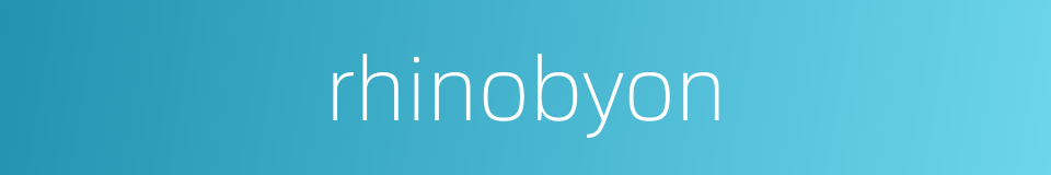 rhinobyon的同义词