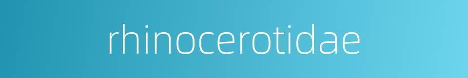 rhinocerotidae的同义词