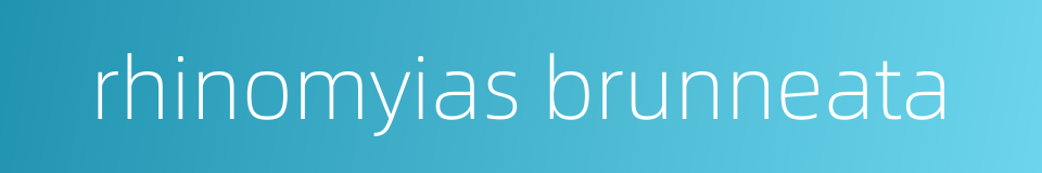 rhinomyias brunneata的同义词