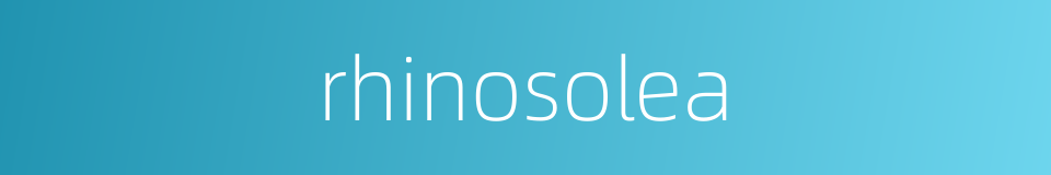 rhinosolea的同义词