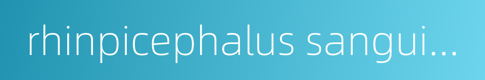 rhinpicephalus sanguineus的同义词