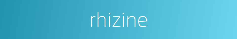 rhizine的同义词