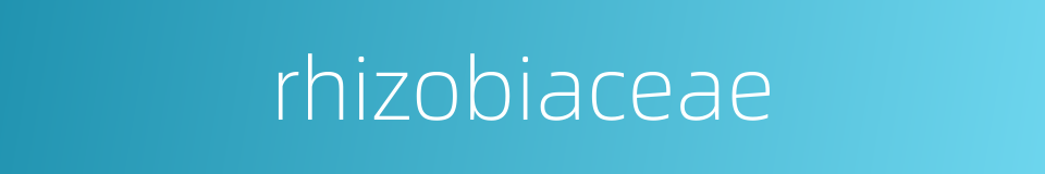 rhizobiaceae的同义词