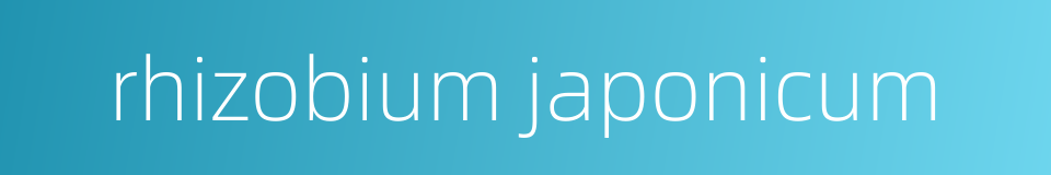 rhizobium japonicum的同义词