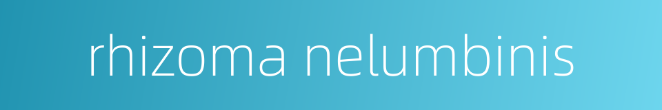 rhizoma nelumbinis的同义词