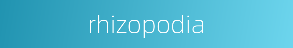 rhizopodia的同义词