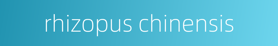 rhizopus chinensis的同义词