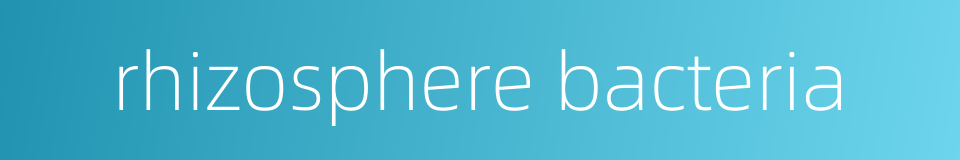 rhizosphere bacteria的同义词