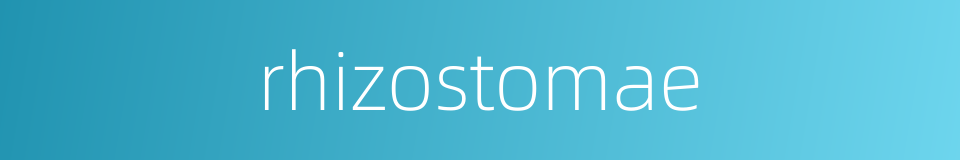 rhizostomae的同义词