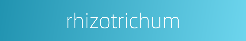 rhizotrichum的同义词