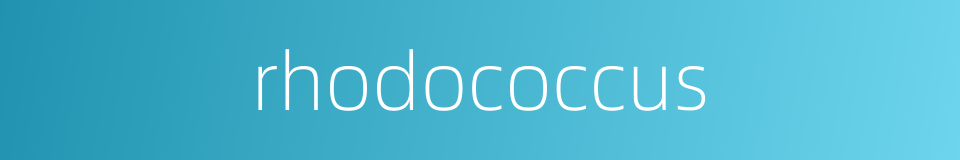 rhodococcus的同义词