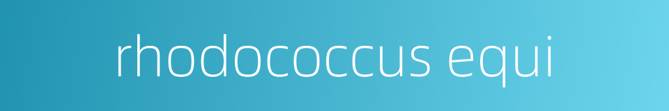 rhodococcus equi的同义词