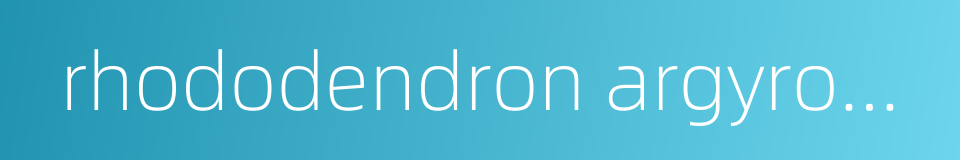 rhododendron argyrophyllum的同义词