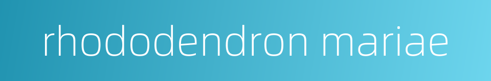 rhododendron mariae的同义词