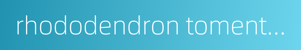 rhododendron tomentosum的同义词