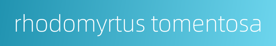 rhodomyrtus tomentosa的同义词