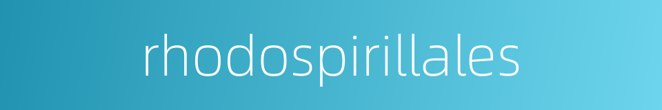 rhodospirillales的同义词