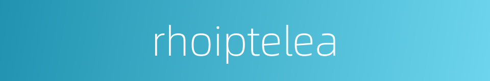 rhoiptelea的同义词