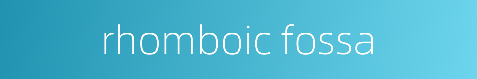 rhomboic fossa的同义词