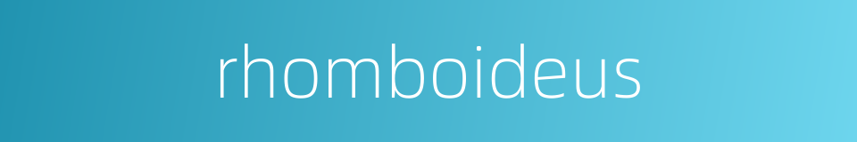 rhomboideus的同义词