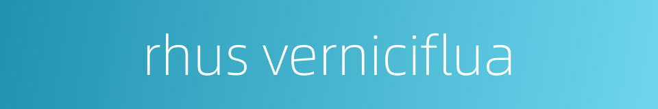 rhus verniciflua的同义词