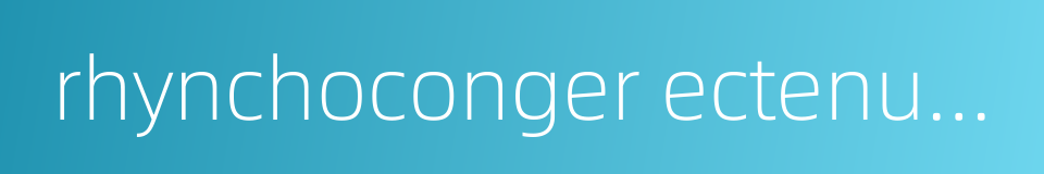 rhynchoconger ectenurus的同义词