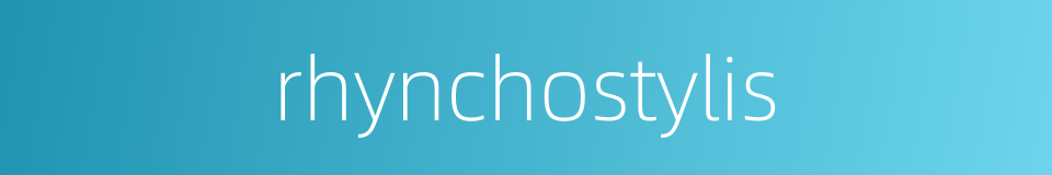 rhynchostylis的同义词