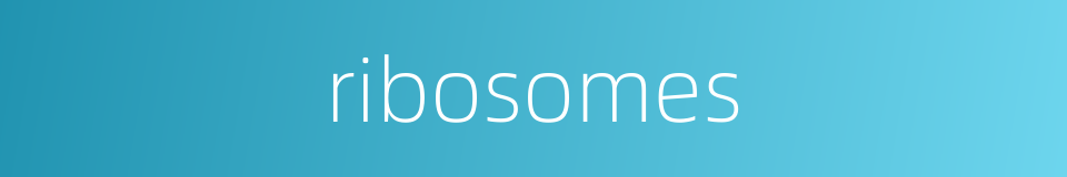 ribosomes的同义词