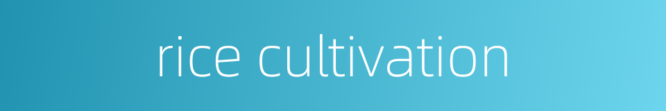 rice cultivation的同义词