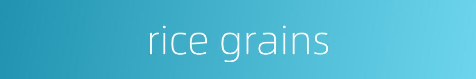 rice grains的同义词